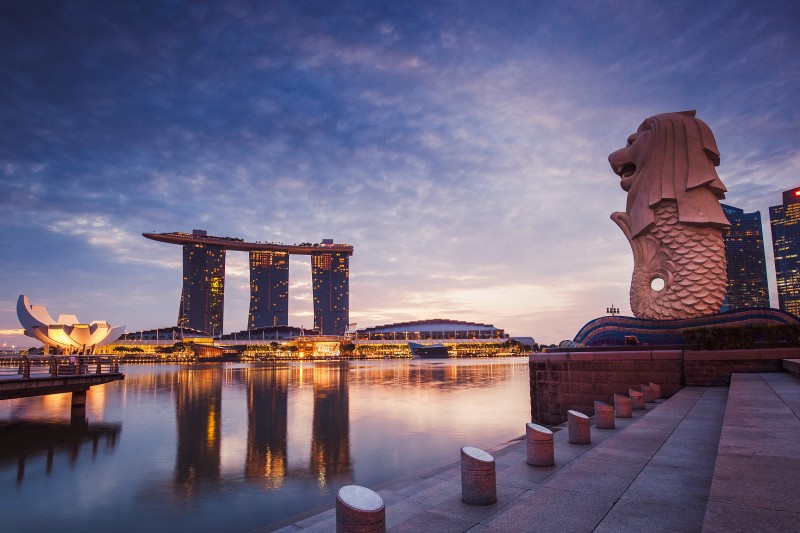 全球投资者计划（GIP）