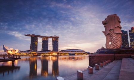 全球投资者计划（GIP）