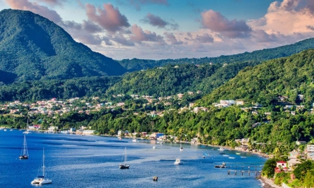 多米尼克入籍项目